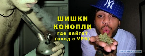 твердый Богданович