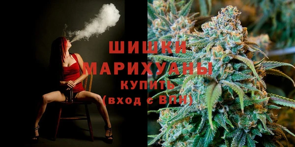 твердый Богданович