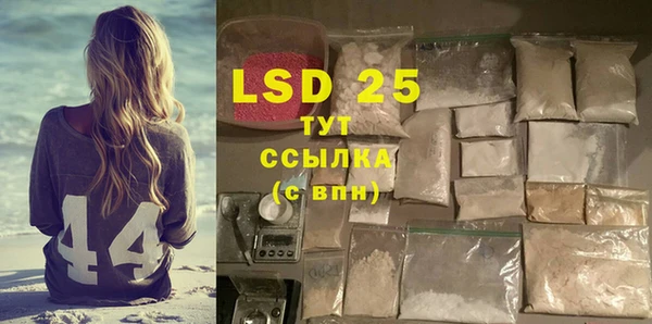 PSILOCYBIN Богородицк