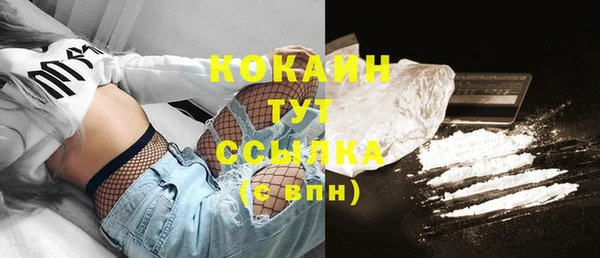 PSILOCYBIN Богородицк