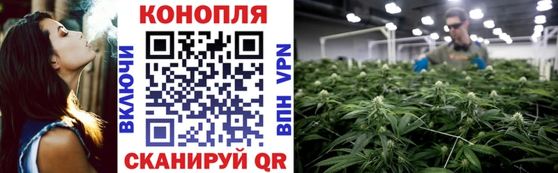 МЕГА как зайти  Высоцк  Каннабис AK-47 